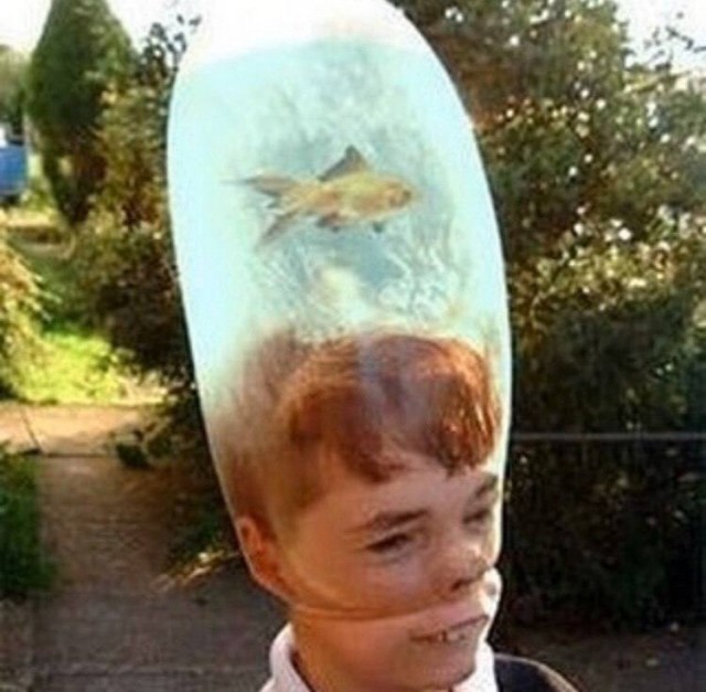 Дичь