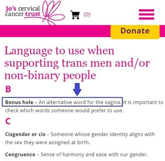 Влагалище – это бонусное отверстие