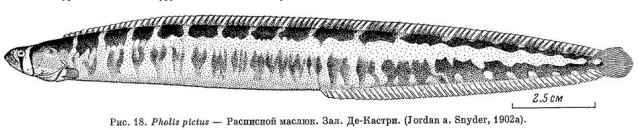 Три стадии психического заболевания