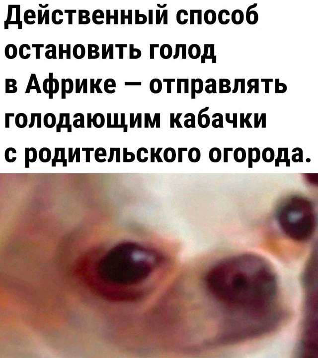 Так себе картинки 17.08.23