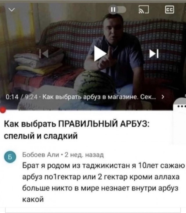Весёлый полтишок 21.08.23
