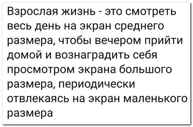 Забавные комментарии из социальных сетей (04.09.23)