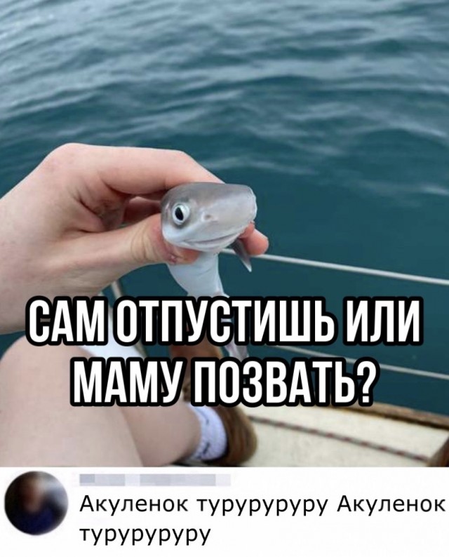 Весёлый полтишок 01.11.23