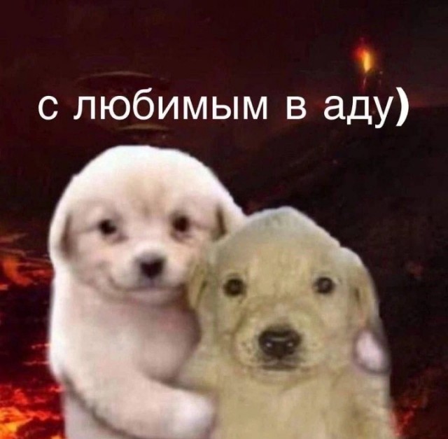 Всего понемногу. От 15.12.23