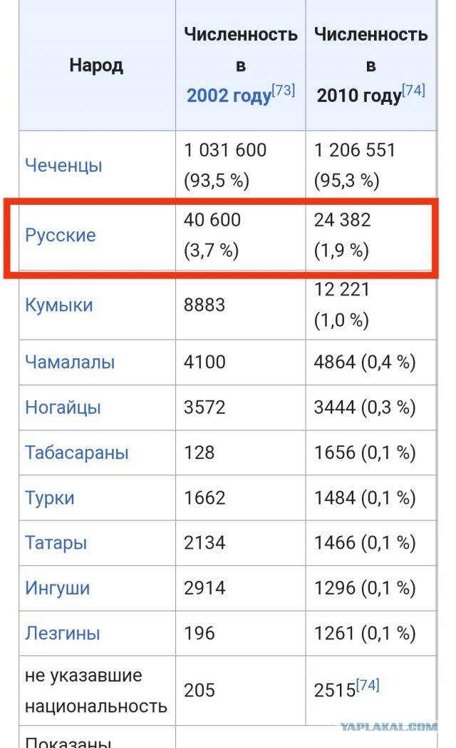 Так в ОАЭ встречают российскую делегацию