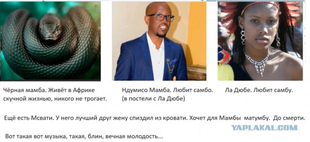 Что сделал король Свазиленда, когда застукал одну из своих 15-ти жён на лoже со своим министром юстиции (и лучшим другом)?