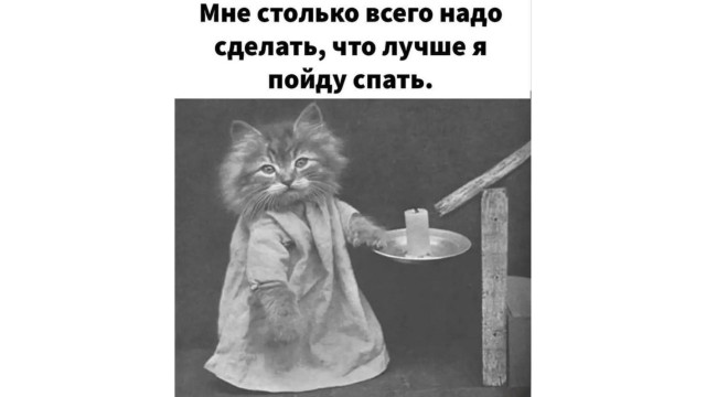 Картинки