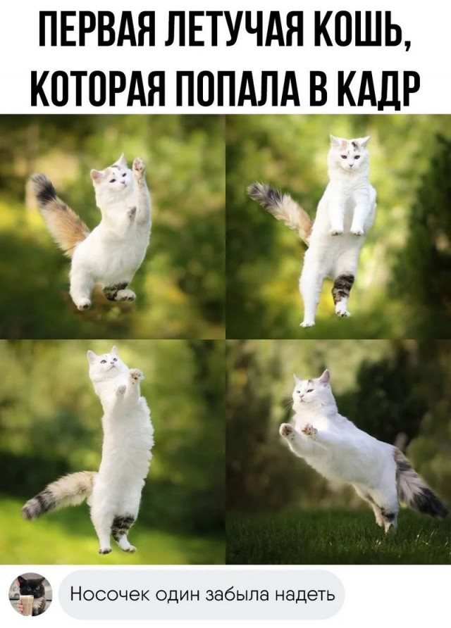 Завалялось тут случайно немного забавных картинок