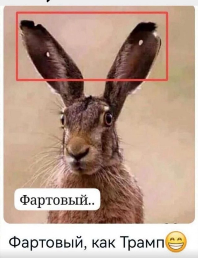 Очередное покушение на Трампа