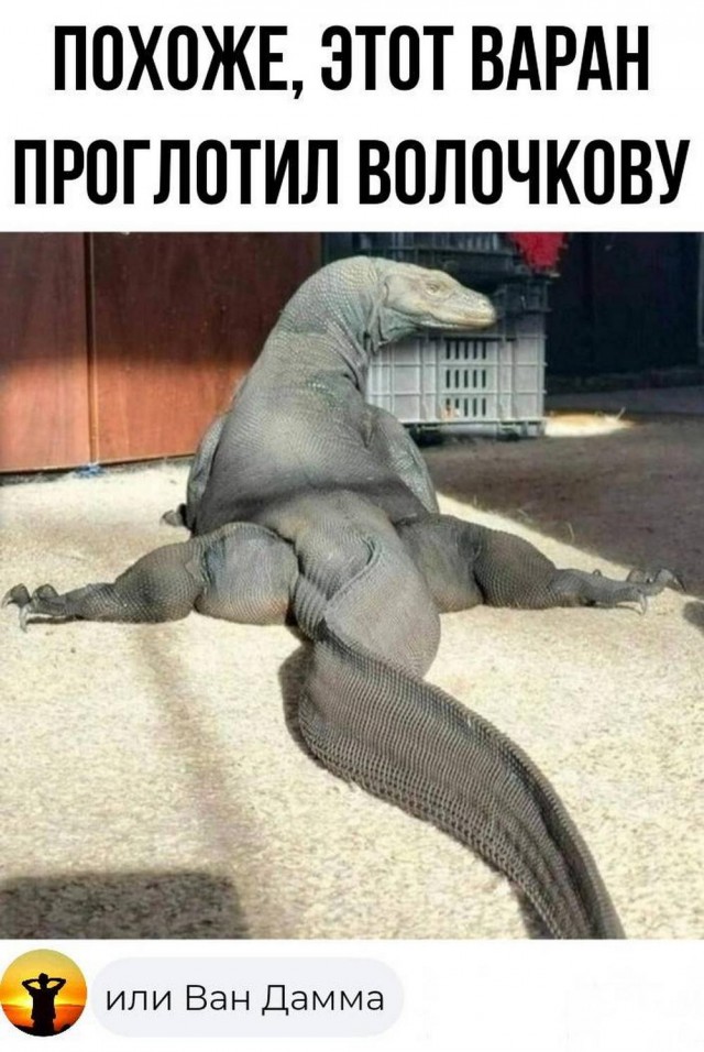 Нуштош 19.09.2024