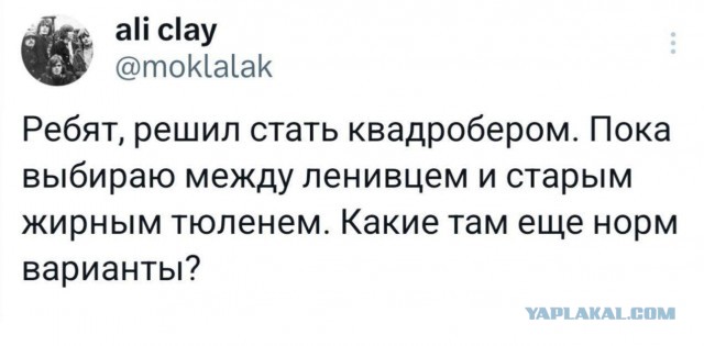 Нуштош 30.09.2024