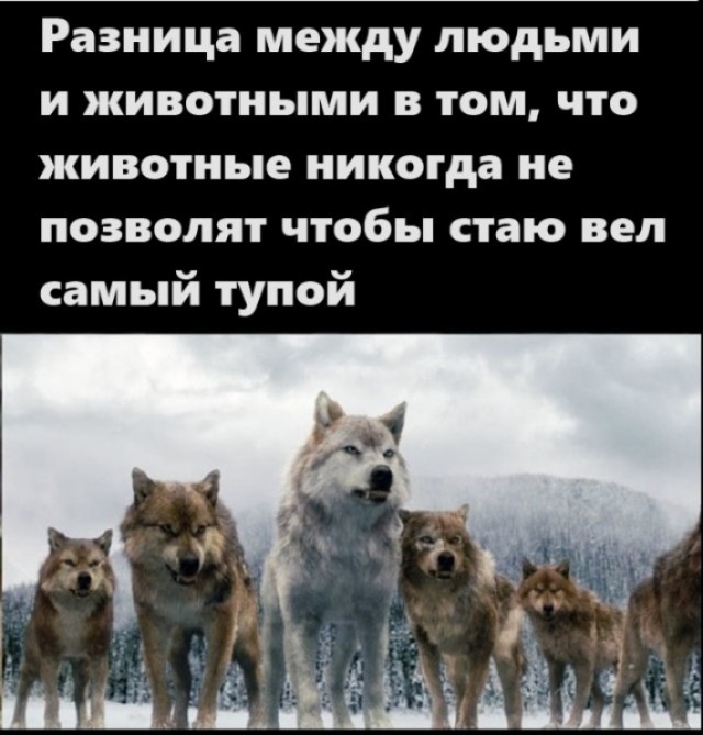 Картинки разные с надписями и без