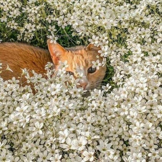 Прикольные и просто красивые картинки
