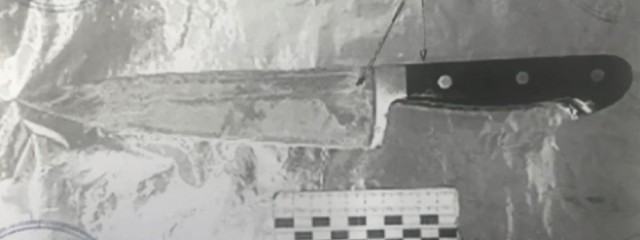 1984 год. Дело о расправе над вожатой в подмосковном пионерлагере
