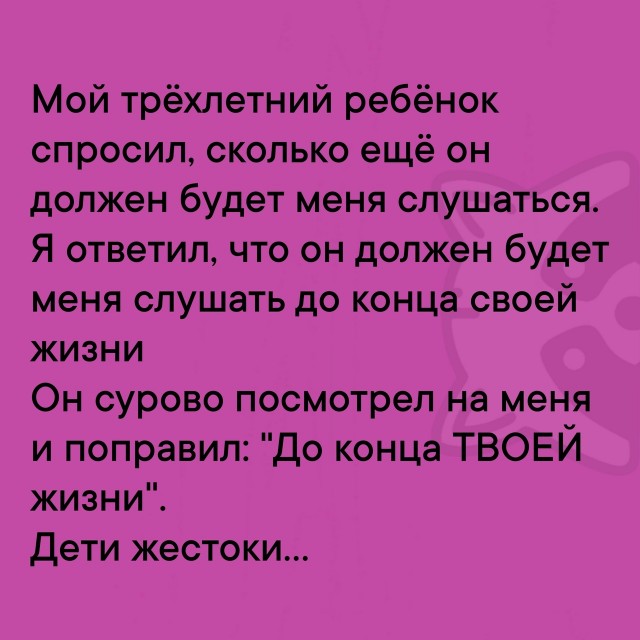 Так себе картинки 11.02.25