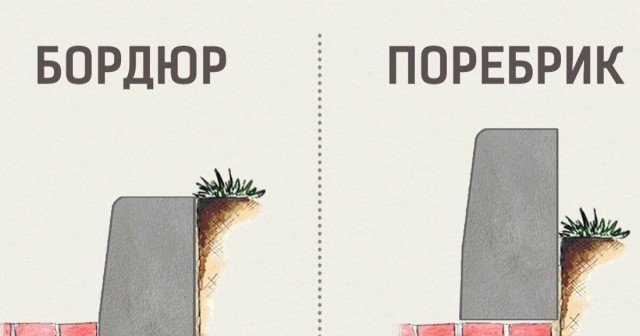 Троллейбус насмерть сбил пешехода в центре Петербурга