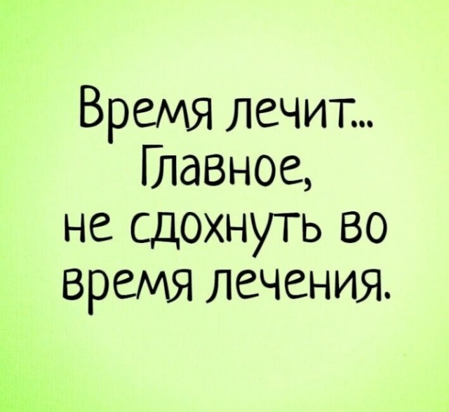Весёлый полтишок 24.04.25
