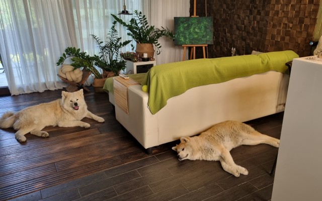 Пришла посылочка