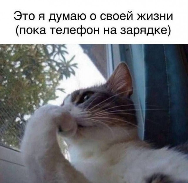 Дело житейское