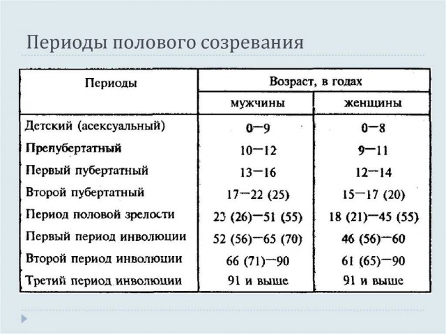Ушастые Облизьяны