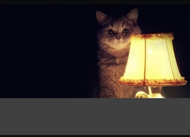 Забираем котика на стену