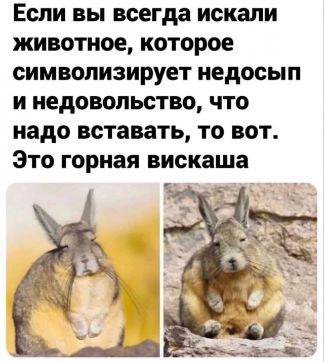 Картинки для деградации 118 (разной степени свежести)