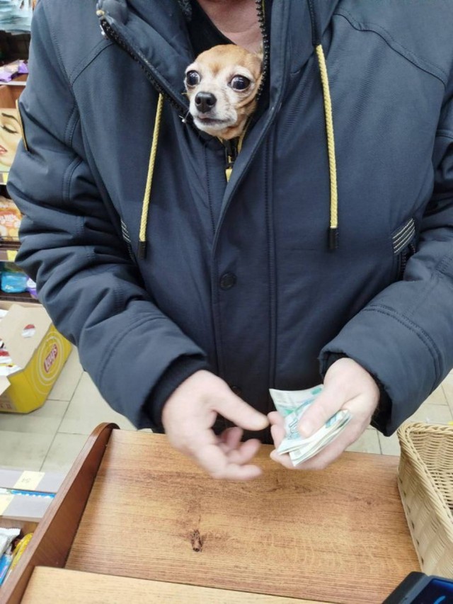 *зачёркнуто*