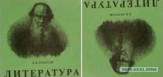 Новая иммунотерапия полностью уничтожила рак с метастазами