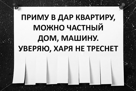 «Состояние не важно»: жительница Балашихи подняла настроение горожанам необычной просьбой