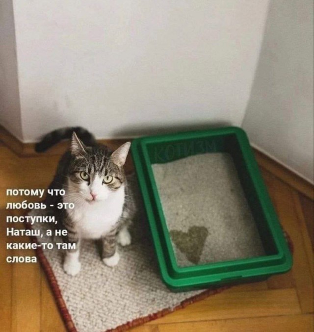 Котямбосы
