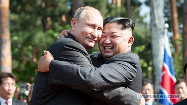 «Госуслуги» анонсировали самую полезную подписку для россиян