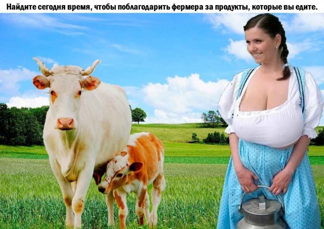 Всего полтора века назад стакан сырого молока мог стоить человеку жизни. Учёные успешно решили эту проблему