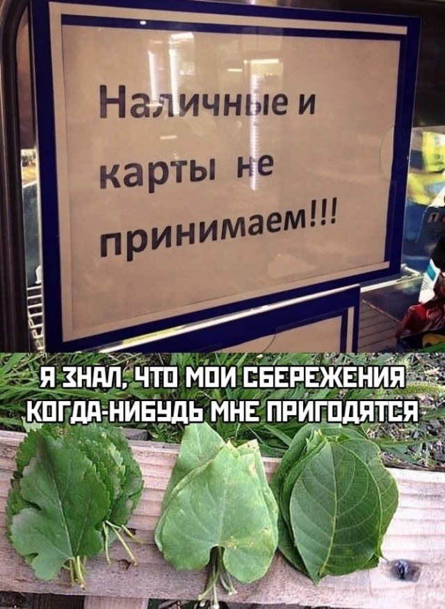 Картинки для деградации 190 (разной степени свежести)