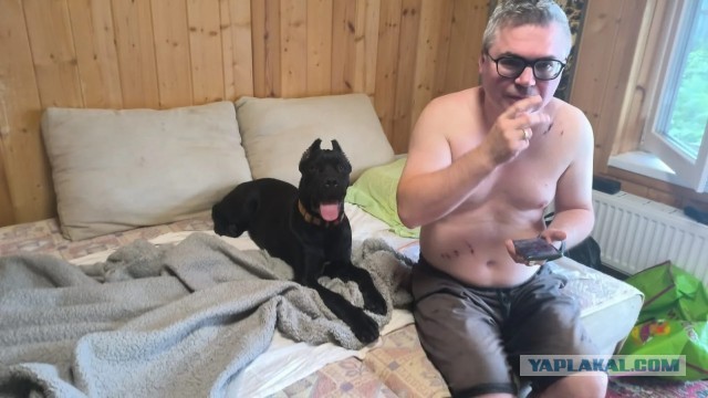 Кане Корсо