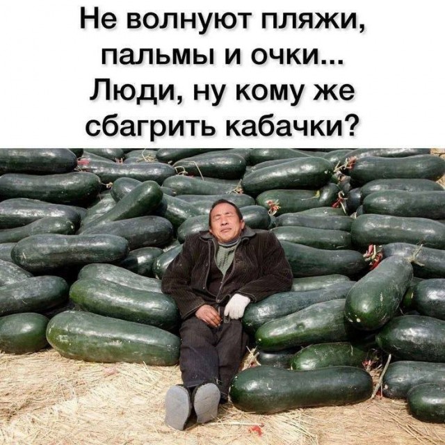 Картинки для деградации 238 (разной степени свежести)