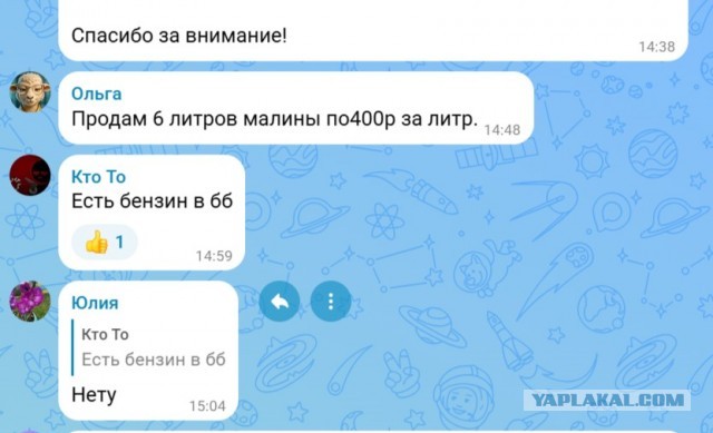 Медведи по улицам?