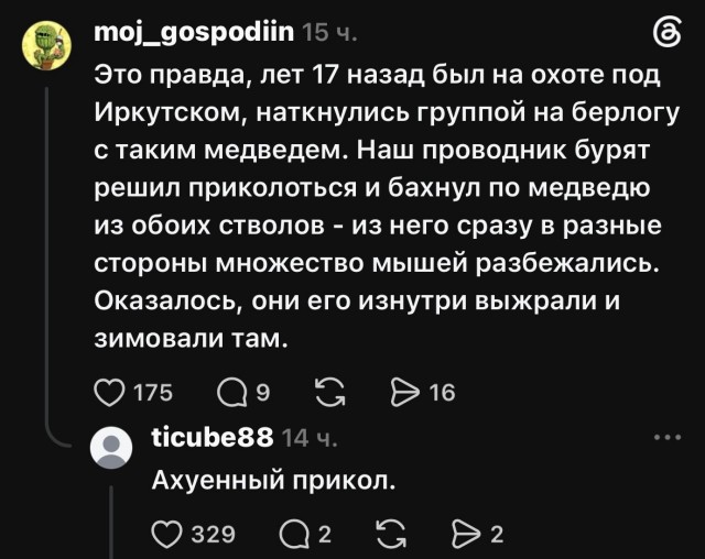 Про мышей медведоедов