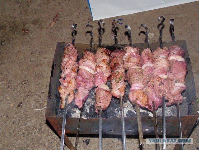 Шашлык на квасе.