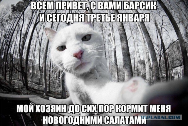 Пусть мама услышит, пусть мама придет - мимишность