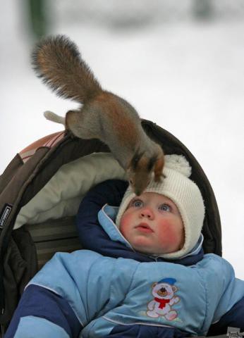 Что ты там жуешь?