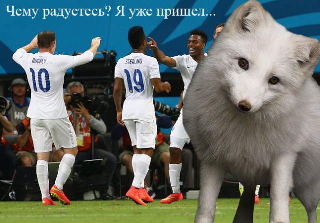 Чемпионат Мира 2014 Бразилия