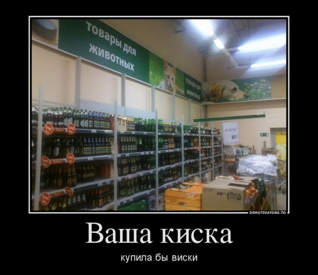 Надписи и объявления с просторов