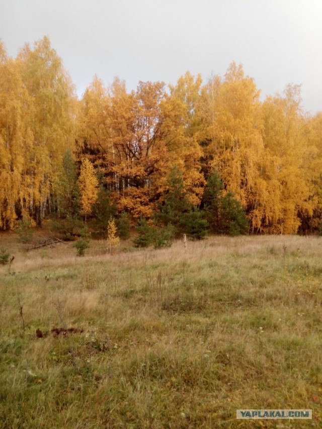 Ну, вот и осень.