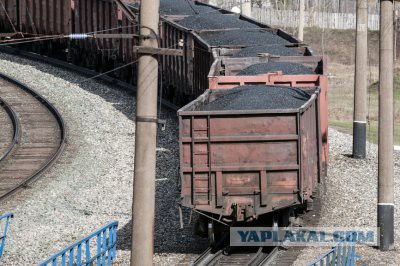 Ехидные комментарии. Нас взяли за жабры?