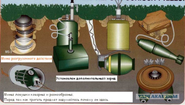 Невероятный дом в Австралии