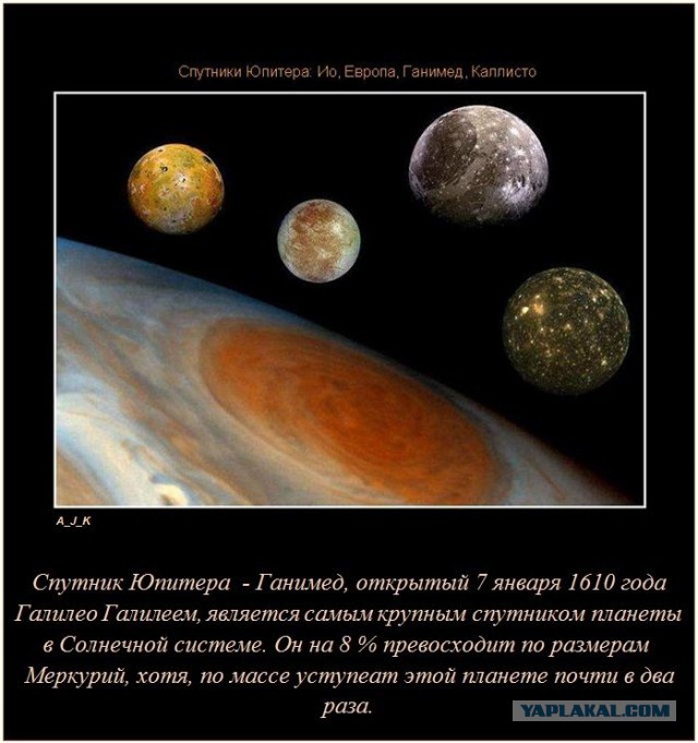 20 фактов обо всем