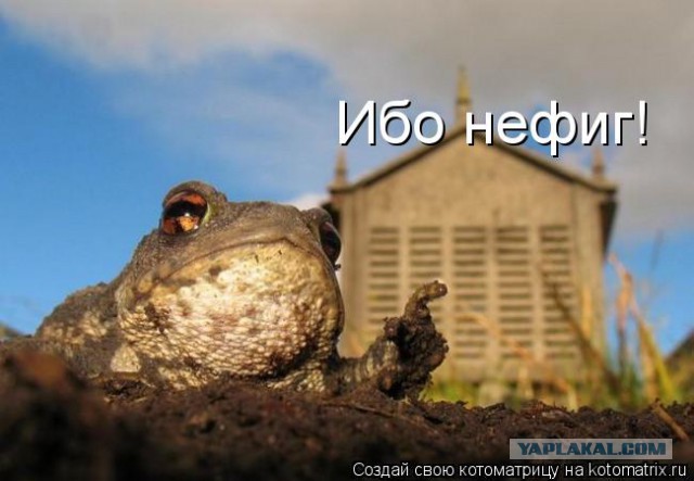 Предприниматель застрелил грабителей