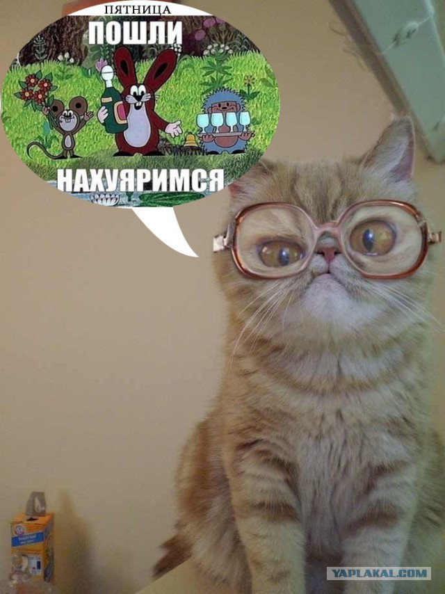 Забавные картинки.