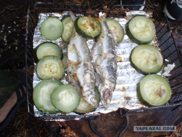 Готовим на костре или лесная кулинария