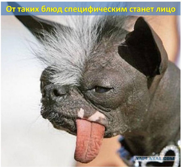 11 специфических  блюд мира